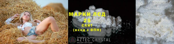 ешки Аркадак