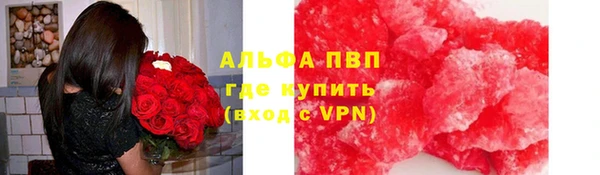 ешки Аркадак