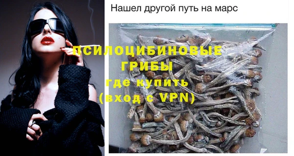 ешки Аркадак