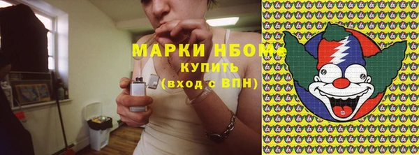 ешки Аркадак