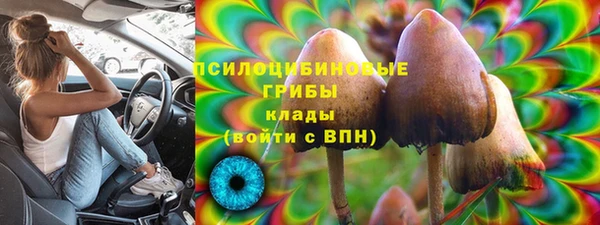 2c-b Арсеньев