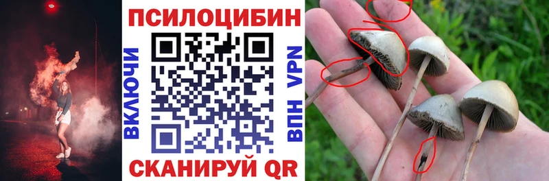 Псилоцибиновые грибы Psilocybe  где купить наркотик  Певек 