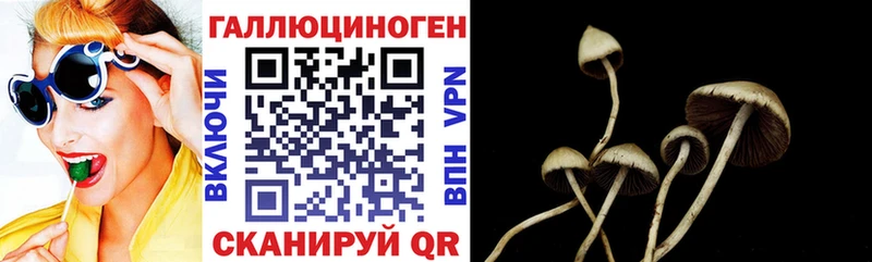 Галлюциногенные грибы прущие грибы Певек